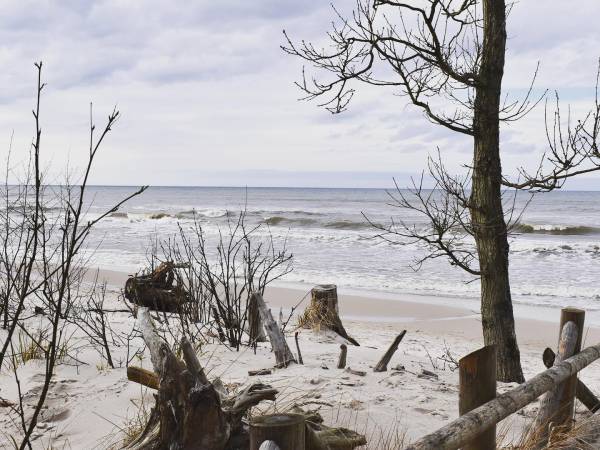 Domki Laura sauna i gorąca balia - OBIEKT CAŁOROCZNY