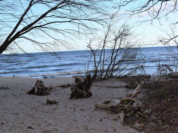 Domki Laura sauna i gorąca balia - OBIEKT CAŁOROCZNY