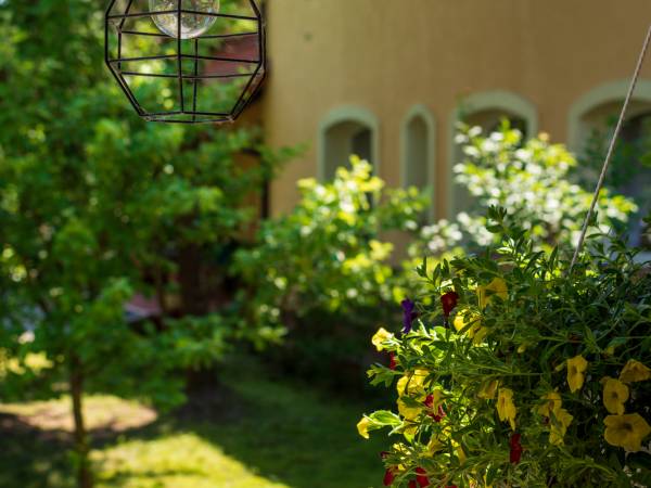 Siedlisko Kromienice 