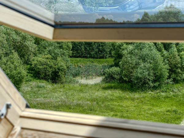 Widok z okna pokoju zielonego i niebieskiego