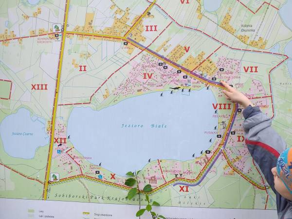 Domki i Pokoje Pod Palmami