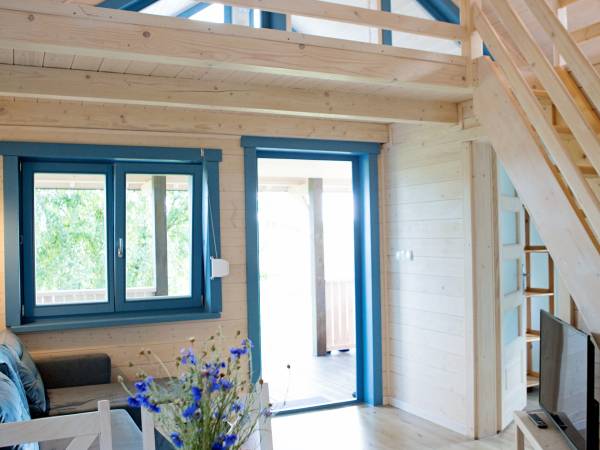 Domki letniskowe Brzezina