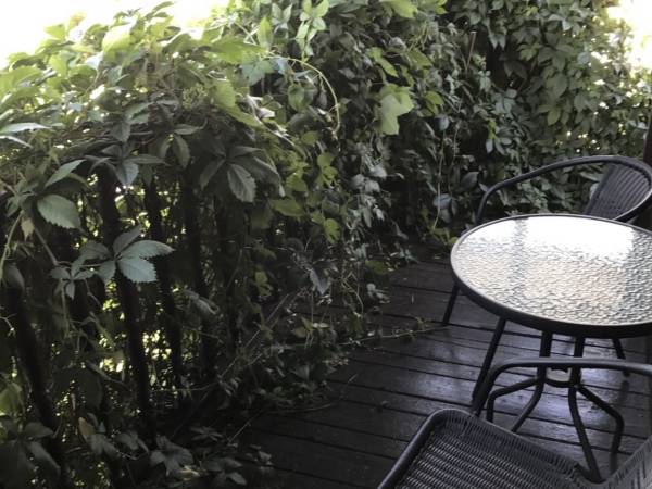 Domek Letniskowy Suzi