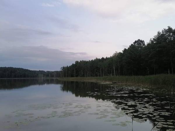 Miodowy Domek na Mazurach