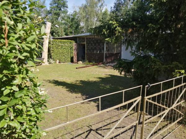 Januszkowice Jezioro Duże 