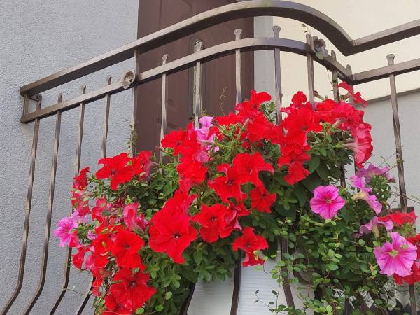 Pokoje Gościnne J. Jasińska