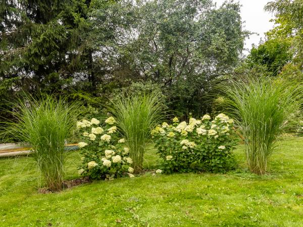 Pensjonacik Kameralny