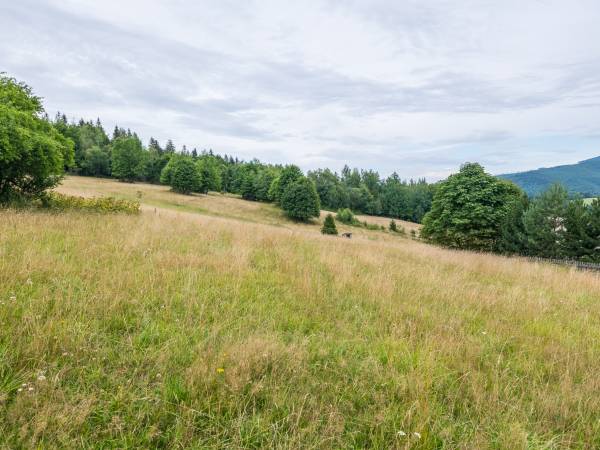 Kwatery Prywatne U Adama