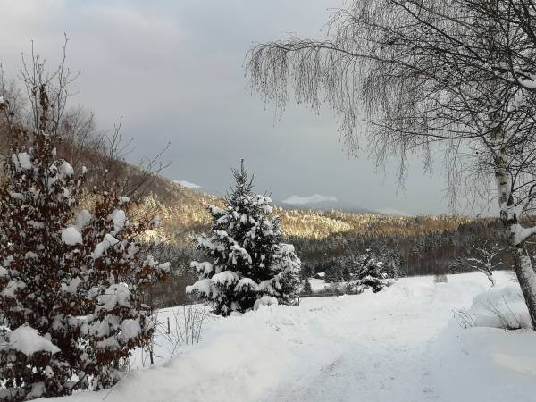 Pod Gwiazdami Bieszczady