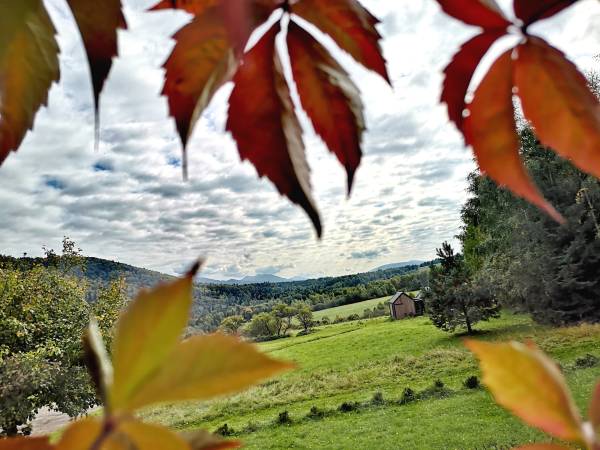 Pod Gwiazdami Bieszczady