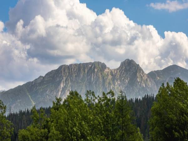 Apartament Słodyczkowy, Gubałówka, Nowe Bystre