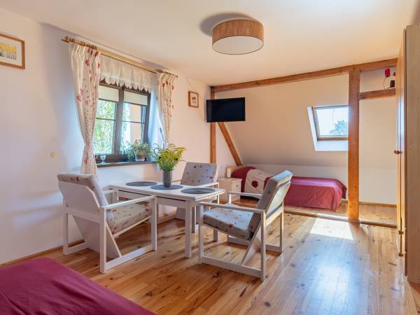 Domek i Pokoje Wilkasy