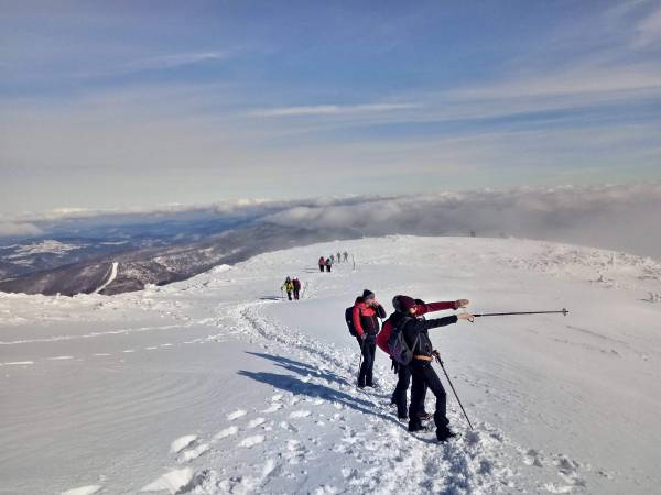 Gospodarstwo Karolina