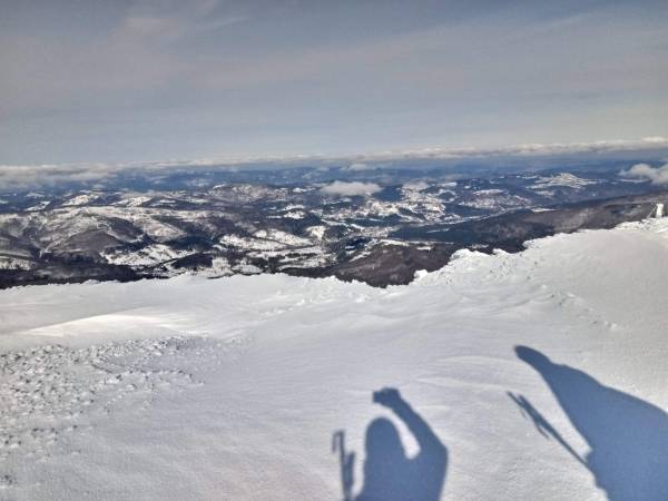 Gospodarstwo Karolina