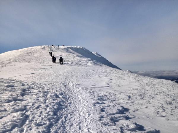 Gospodarstwo Karolina