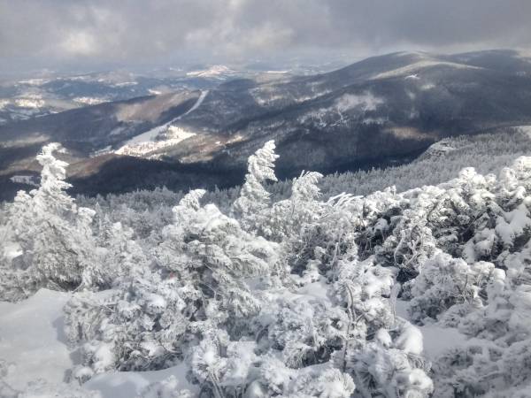 Gospodarstwo Karolina