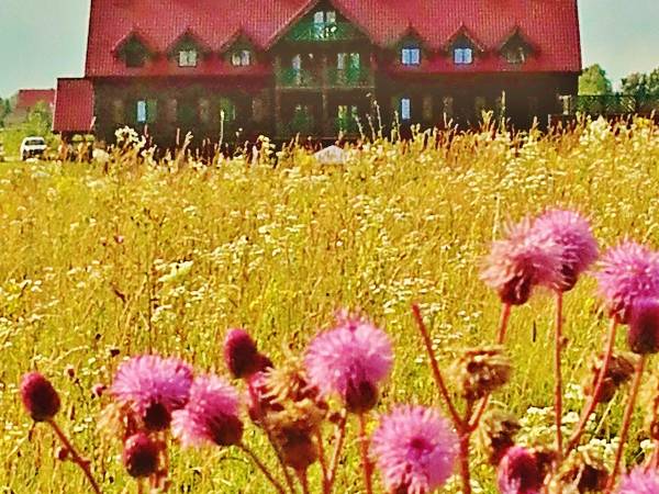 Hotelik Mazurska Chata 