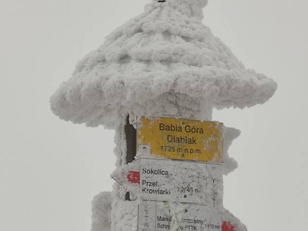 Gospodarstwo Karolina