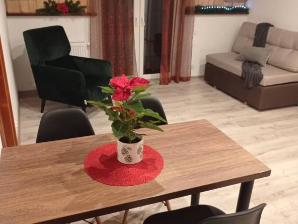 Bieszczadzki Horyzont Apartamenty