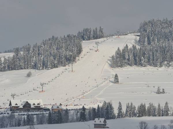 Willa Zielona Polana