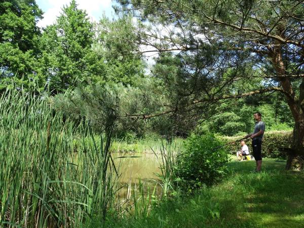 Dębowa Ostoja - domki agroturystyczne nad stawem