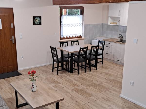 salon z aneksem kuchennym