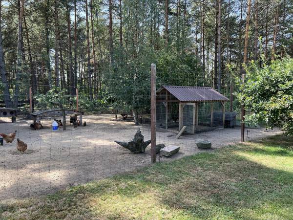 Agroturystyka - Domek Pod Kogutem