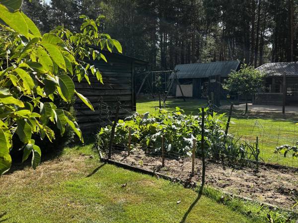 Agroturystyka - Domek Pod Kogutem