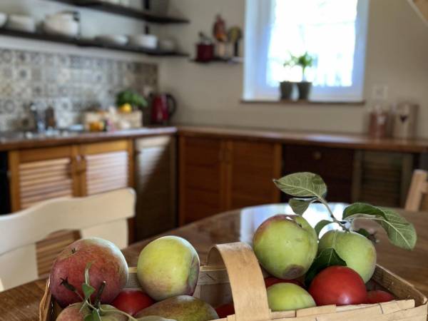 Agroturystyka - Domek Pod Kogutem