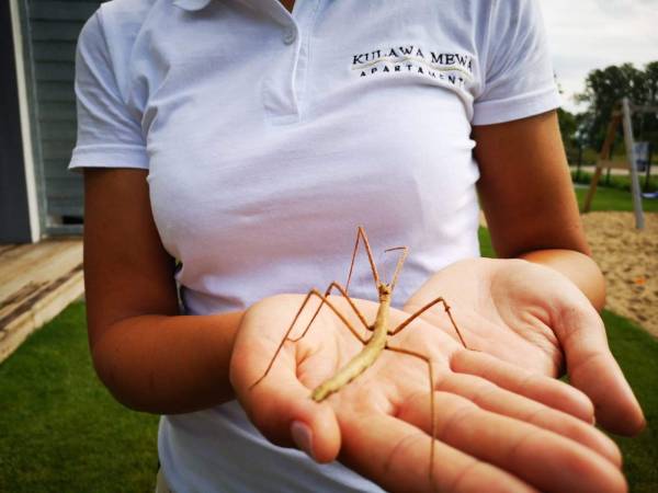 Kulawa Mewa Domki Apartamentowe