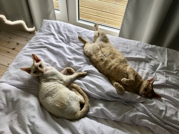 Kulawa Mewa Domki Apartamentowe