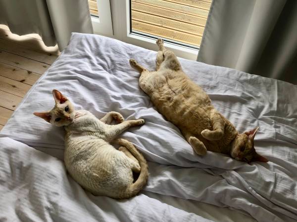 Kulawa Mewa Domki Apartamentowe