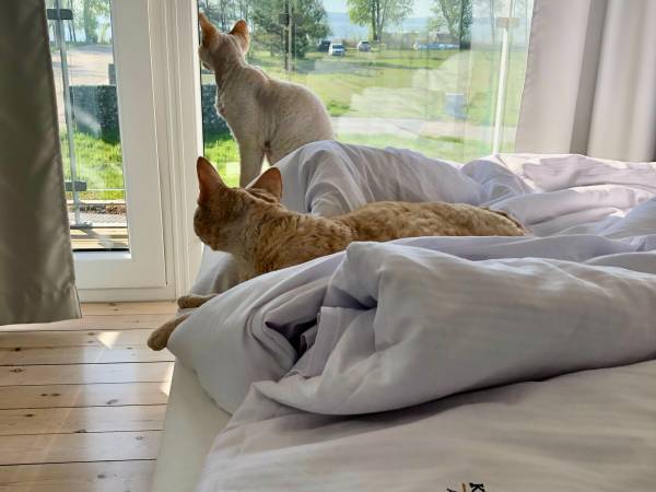 Kulawa Mewa Domki Apartamentowe