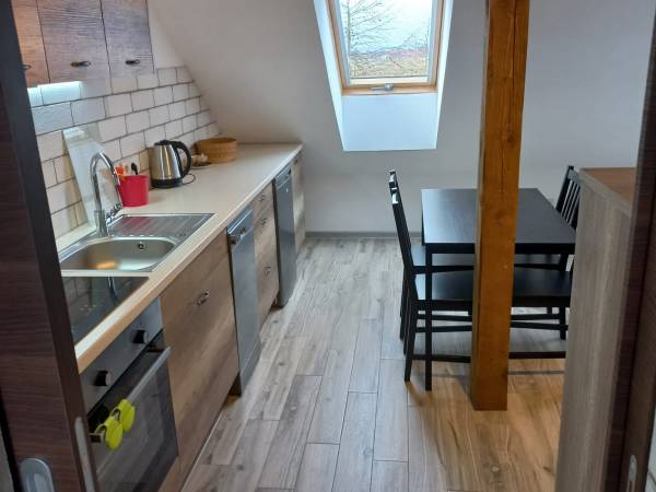 studio z aneksem kuchennym i sypialnią dla dzieci