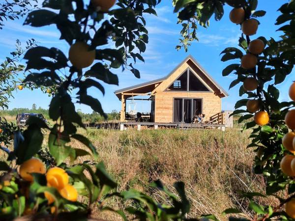 Miodowy Domek na Mazurach