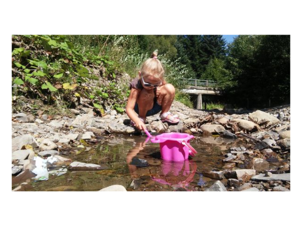 Gdzie te rybki się pochowały?