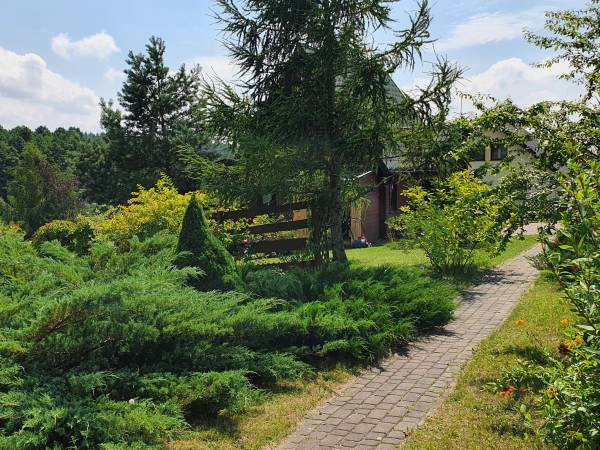 Dwa Domy Drewniane Nad Jeziorem Orzyskim