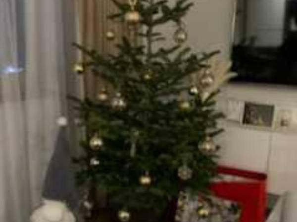 Agroturystyka Pod Łopiennikiem