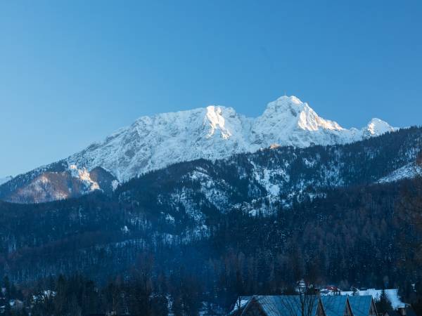 Aparthotel Delta Royal