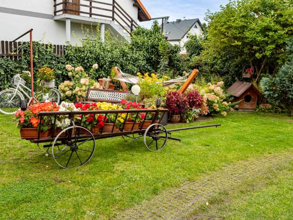 Domki całoroczne z kominkami i sauną i Apartamenty Grześ/Promyk Edenu