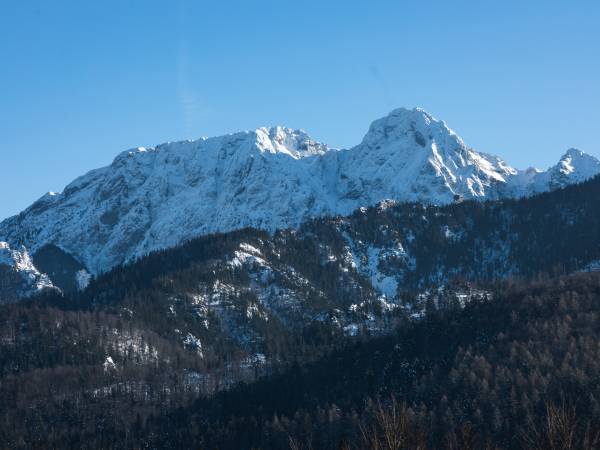 Aparthotel Delta Royal