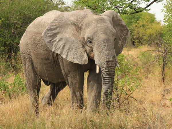źródło: materiały prasowe
