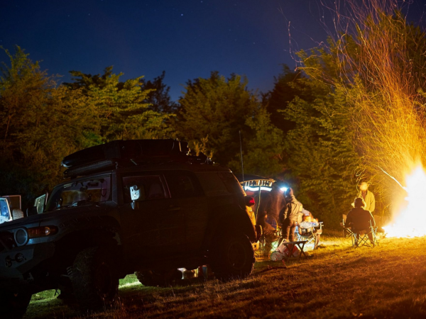 źródło: materiały prasowe