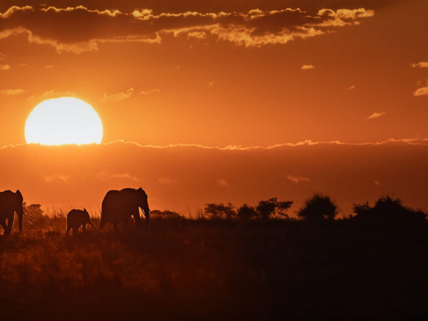 źródło: materiały prasowe