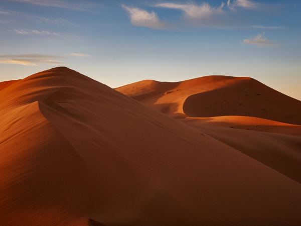 źródło: materiały prasowe