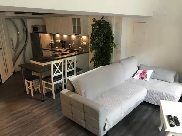 Zdjęcie przedstawia kuchnię oraz pokój gościnny