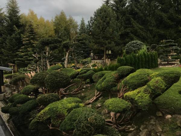 Apartament Skalny ogród 