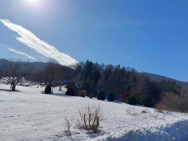 Domki pod Lipą i Domek u Jasi