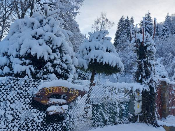 Domki pod Lipą i Domek u Jasi
