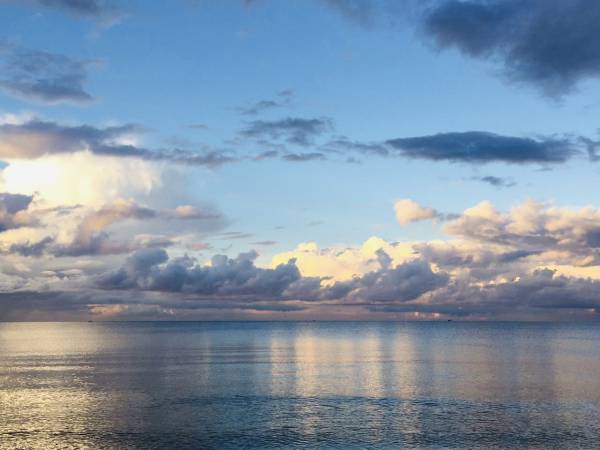 Dzika Róża Lubiatowo